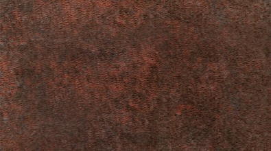CS-55