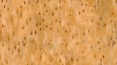 CWP-001